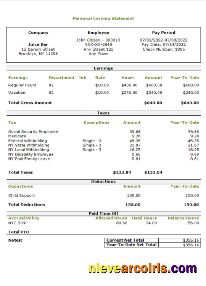 USA personal earning statement